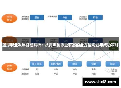 篮球职业发展路径解析：从青训到职业联赛的全方位规划与成功策略