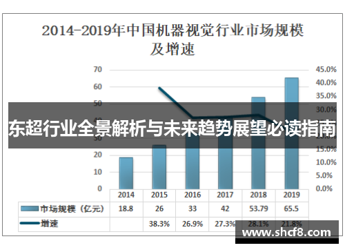 东超行业全景解析与未来趋势展望必读指南 东超行业全景解析与未来趋势展望必读指南