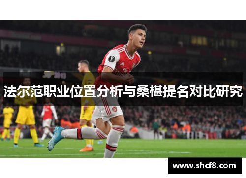 法尔范职业位置分析与桑椹提名对比研究